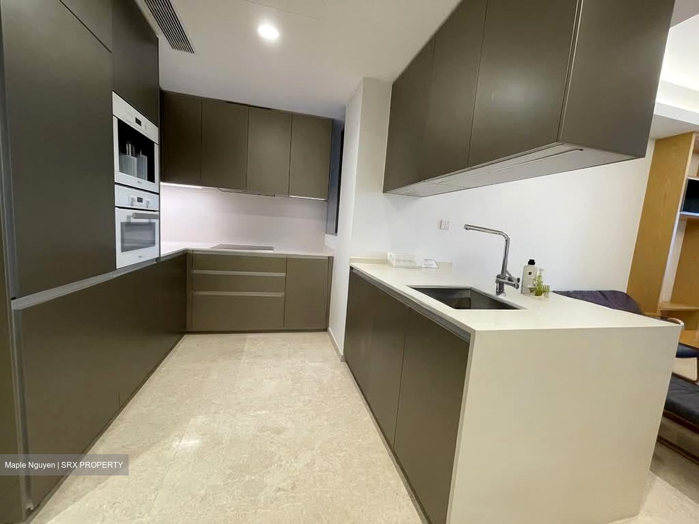 Cairnhill Nine (D9), Apartment #558226481